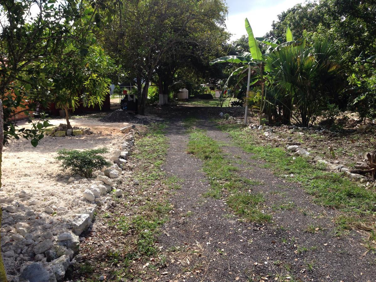 Campingplatz Chaac Calakmul 2*