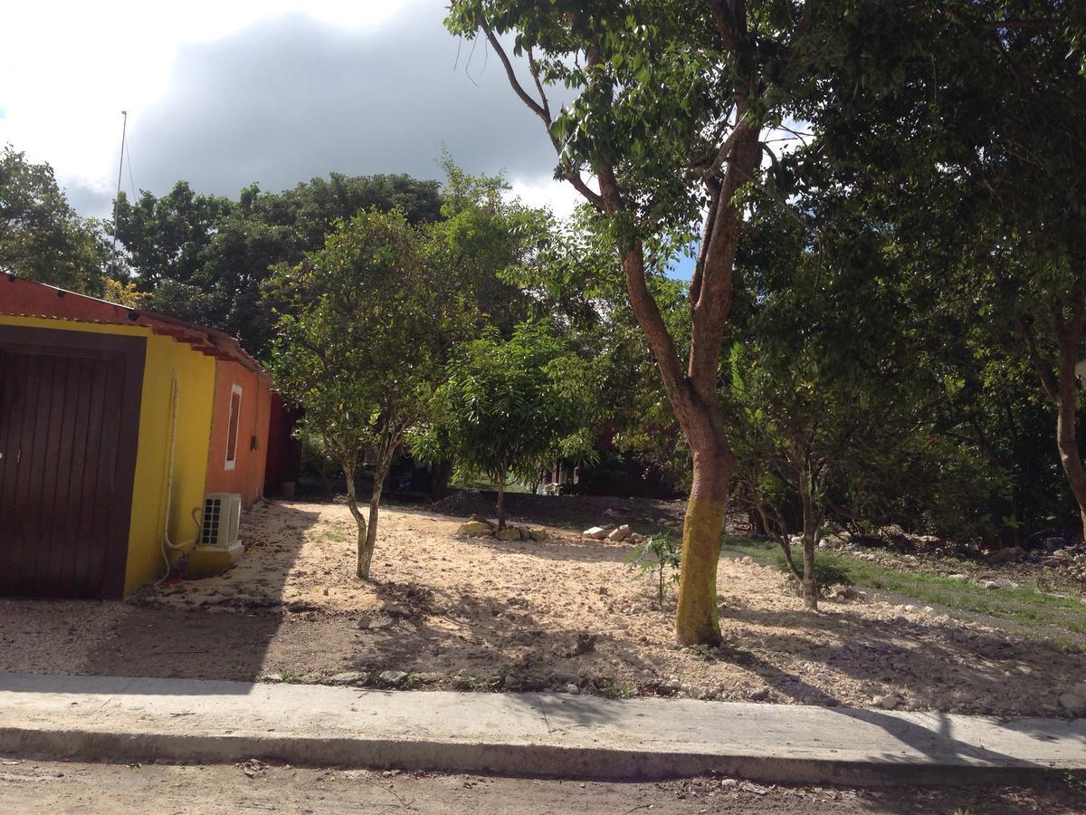 Chaac Calakmul Xpujil