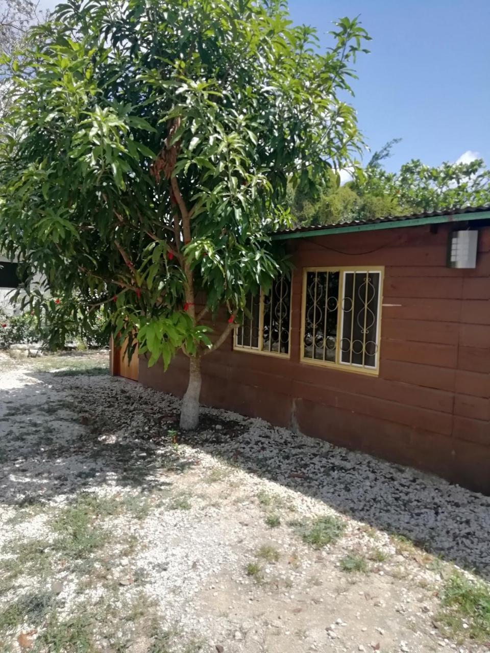 Chaac Calakmul