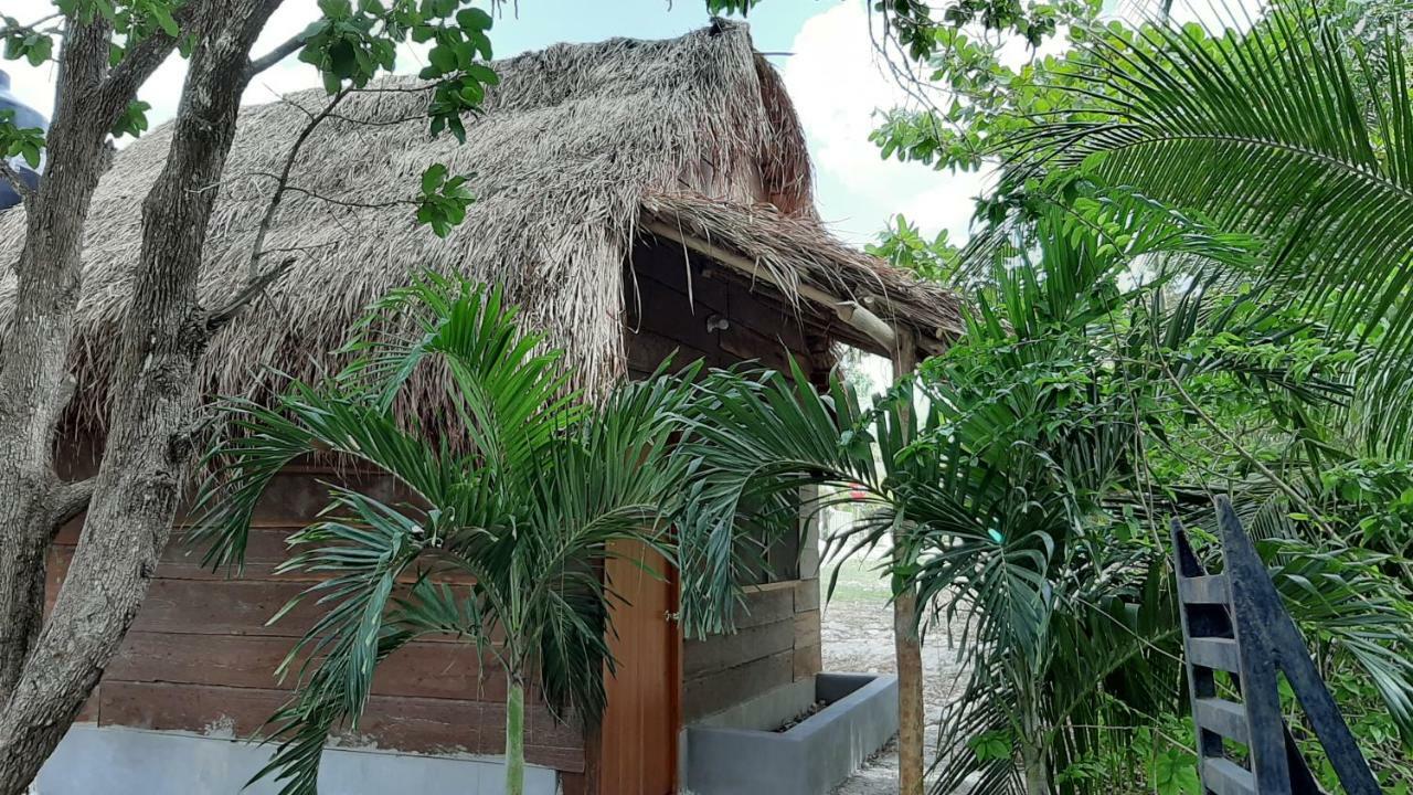 Chaac Calakmul 2* Xpujil